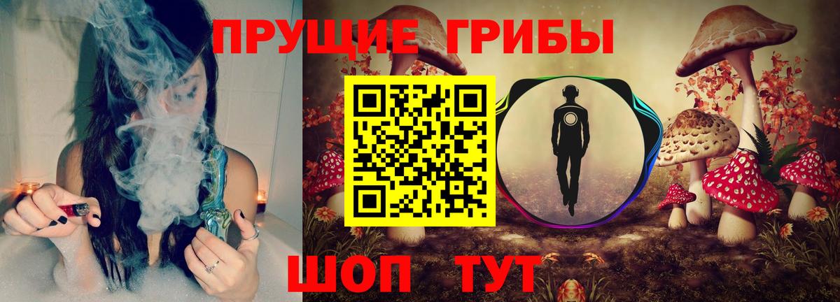 Псилоцибиновые грибы Magic Shrooms  хочу   Новочебоксарск  Вход с VPN 